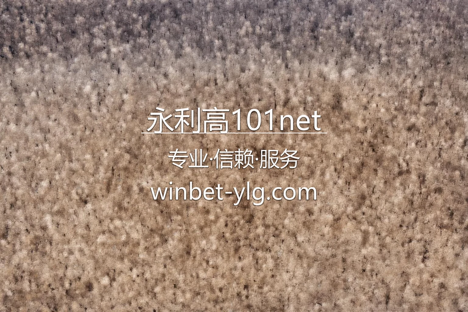 永利高101net官网入口在哪？2026最新极速登录通道 | 永利高101net - yongligao101net 英雄图
